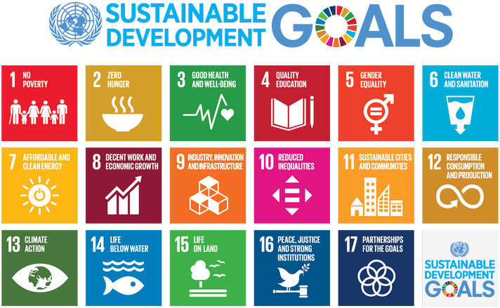 sdg1